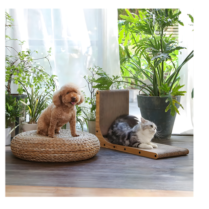 Rascador Multifunción para Gatos