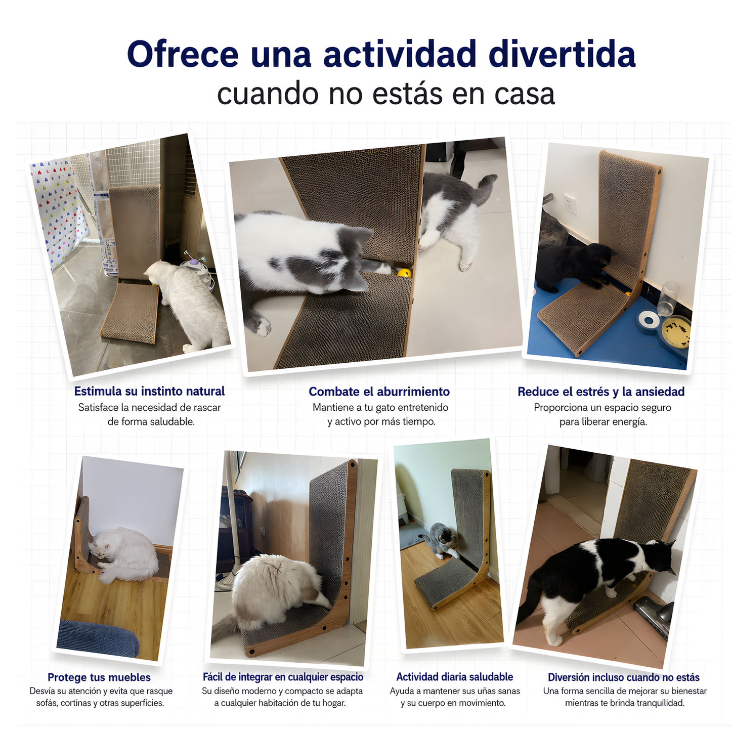 Rascador Multifunción para Gatos