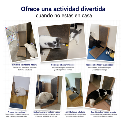 Rascador Multifunción para Gatos